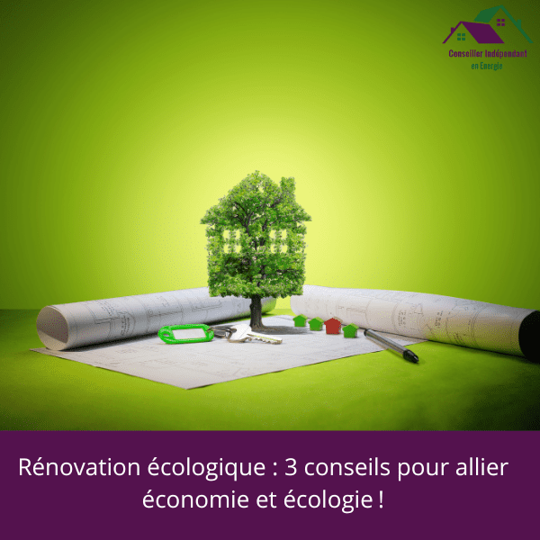 Rénovation écologique 3 conseils pour allier économie et écologie 